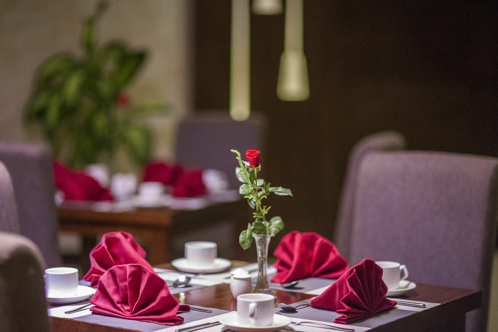 Muong Thanh Grand Quang Tri Hotel מראה חיצוני תמונה
